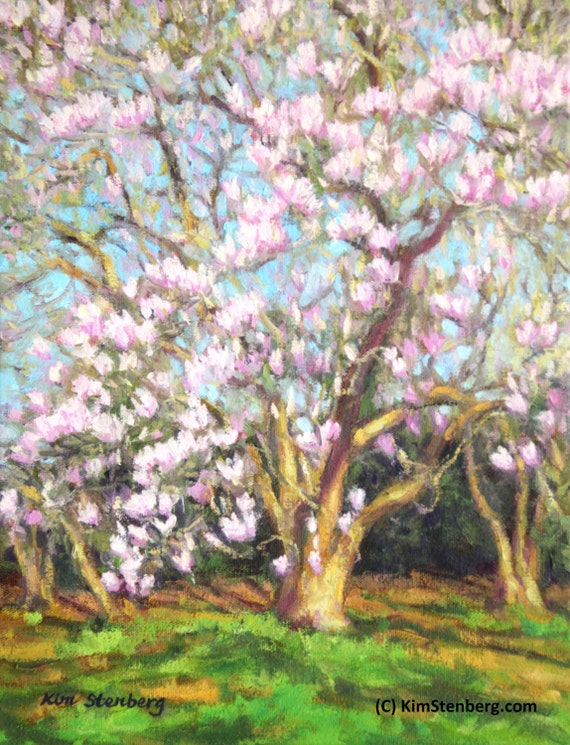 Magnolia Painting Original Oil Painting 14 x by KimStenbergFineArt