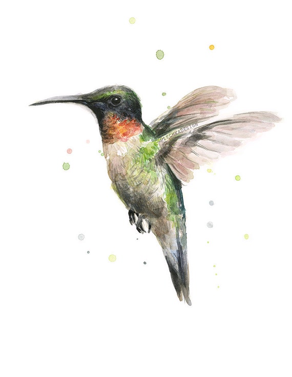 Download Hummingbird Watercolor Art Print Ruby-Throated Hummingbird
