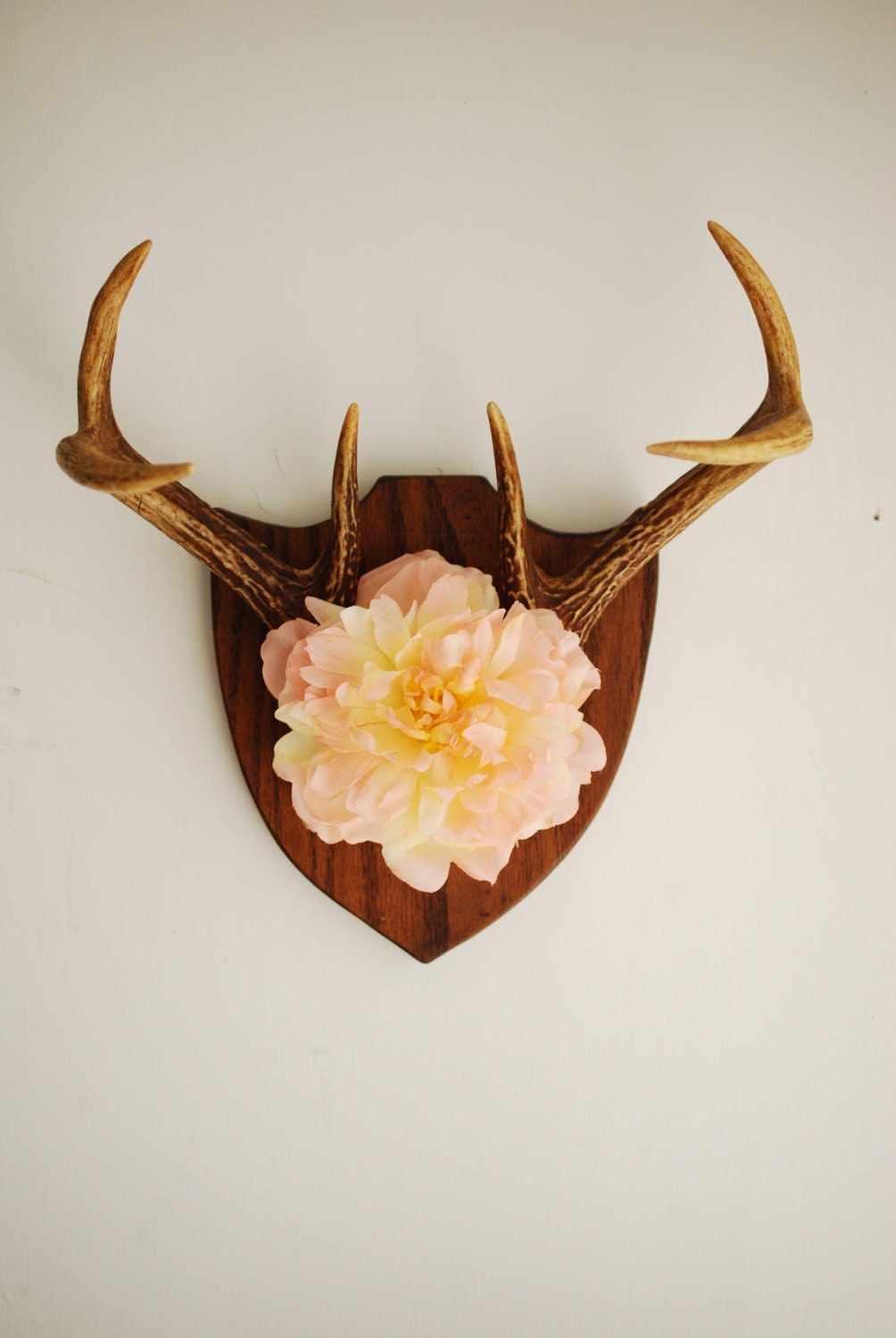 Real Floral Vintage Deer Antler Mount Flower Pink Purple for Amazing real antler home decor you should have