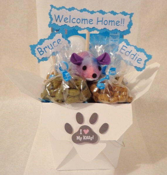 Cat or ferret gift basket with toys and treats by TreatWorthyPet