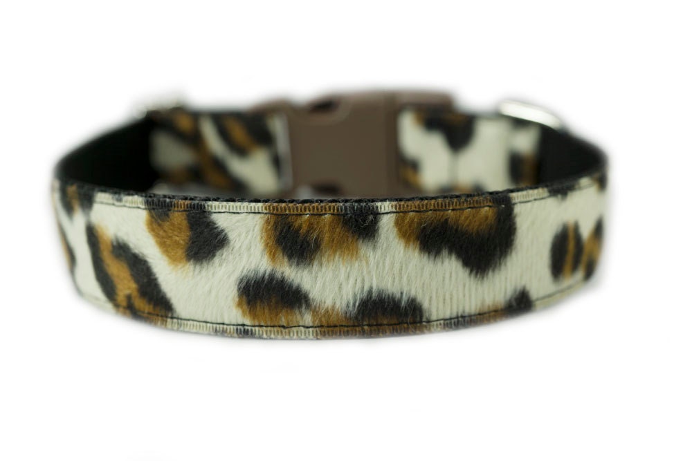 Leopard Print Dog Collar Brown Dog Collar
