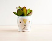 Penguin ceramic planter flower pot, Pottery Plant pot, Succulent planter, Face pot, Face plant pot, Ceramics & pottery, Face planter, Pot