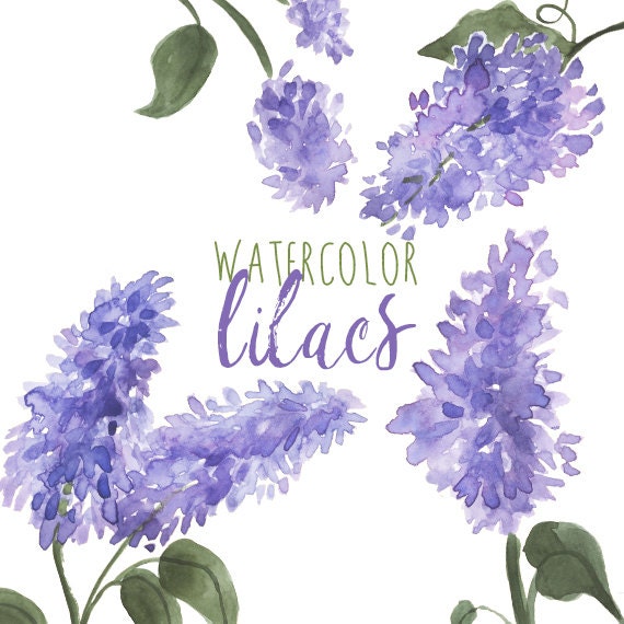 clipart lilac flowers - photo #23