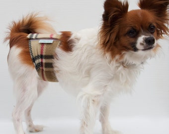 Regular - Washable Male Dog Belly Band Diapers by Coddled Canine