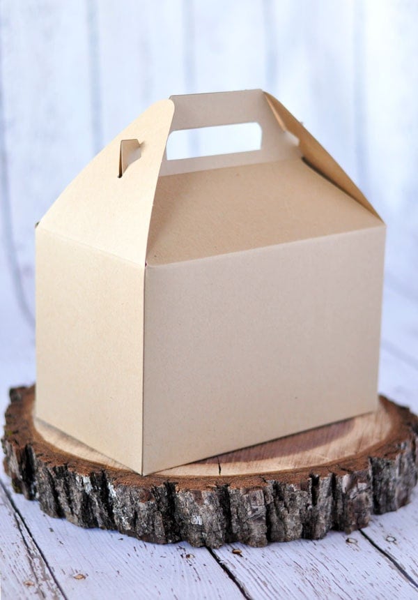6pack Large Kraft Gable Boxes