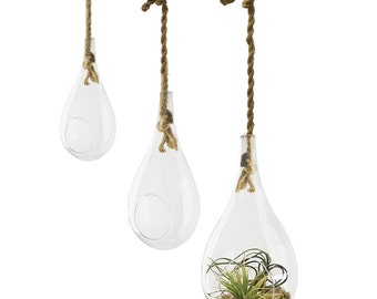 Glass Hanging Tear Drop Plant Terrarium Holder with Rope