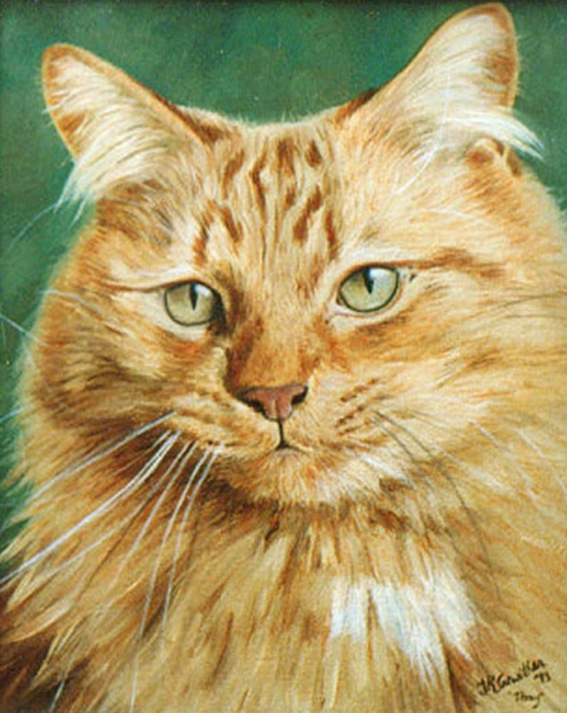 Download Custom Cat portrait Pet portrait Cat Painting oil painting