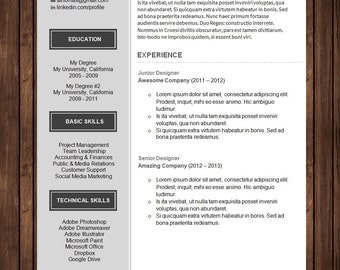 Professional Resume Template with Cover Letter | Curriculum Vitae (CV) for Microsoft Word | DIY Printable Word Doc | The Ava