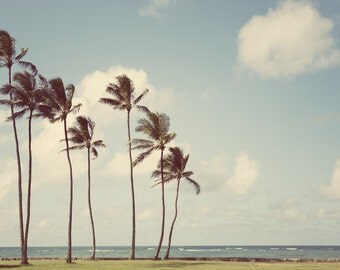 Tropical Decor, Hawaii Art Print, Beach Decor, Landscape Photography, Palm Trees Photo, Wall Decor, Travel Photography "Tropicalia"