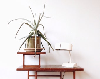 Mid Century Industrial Lamp - gooseneck, cast iron, enamel