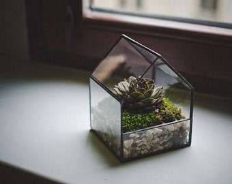 Glass Terrarium Small House Stained glass decoration Home decor Planter for indoor gardening Succulent Christmas gift Moss Fairy garden