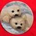 1990 8" White BABY SEALS (2) FIrst Issue in Beauty of Polar WIldlife PLATE by Mike Jackson