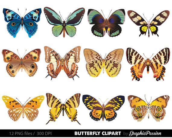 Butterfly Clipart Butterfly Digital Collage Sheet Realistic