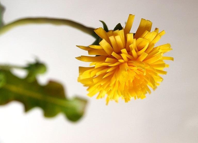Home Decoration Dandelion Flower Handmade Flower by IrynaFleur