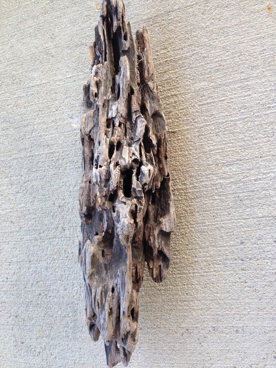 Decorative Driftwood Piece By 3DriftsAway On Etsy   Il 570xN.736929686 P6uy 