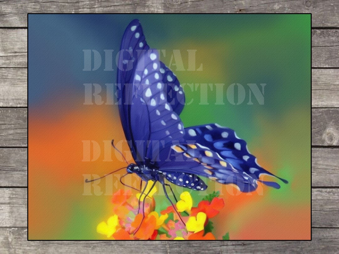 Butterfly poster Butterfly print. Art Print by DigitalReflection