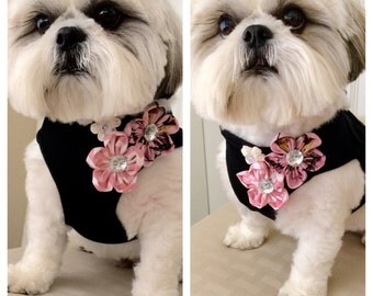 Dog harness with flower, Custom flower, cute harness, pink harness, black harness, flower, harness, dog harness.