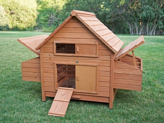 DIY Build Your Own Rambler Backyard Chicken Coop Great for 6 to 10 ...
