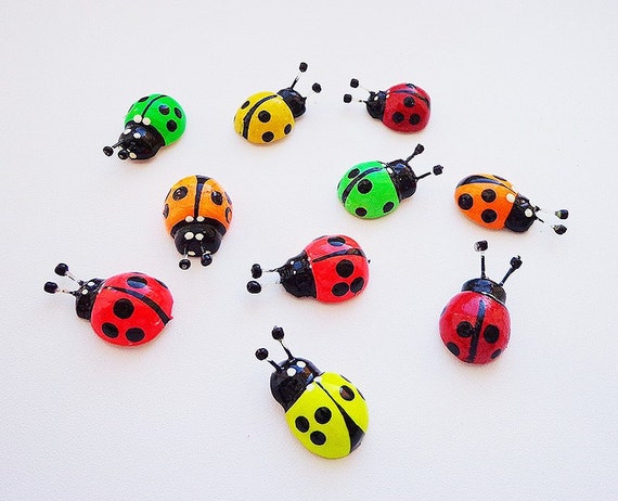 Small ladybugs magnets multicolor ladybirds fridge magnets