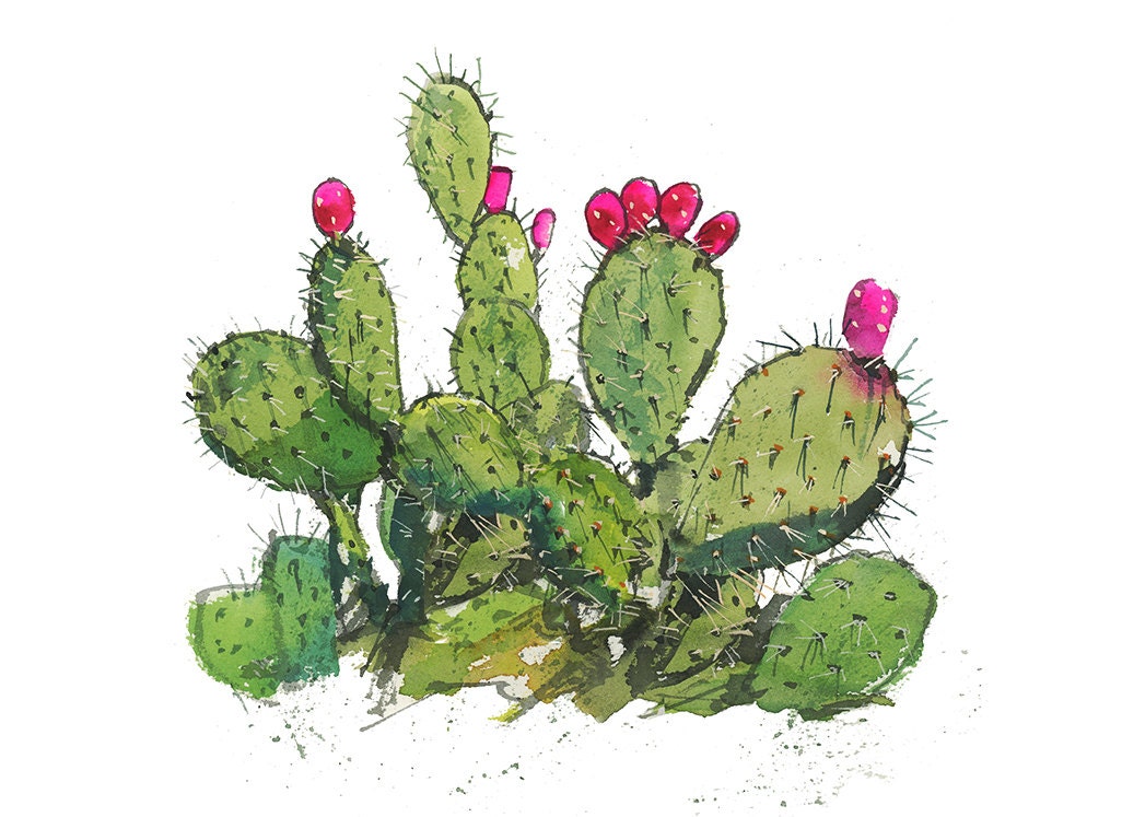 Prickly Pear Cactus Group Watercolor Illustration Artwork