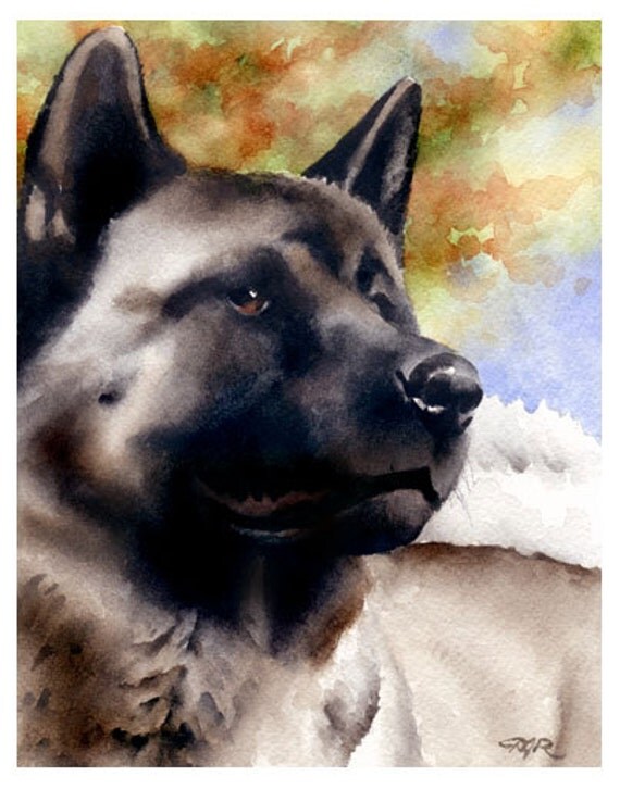 AKITA Art Print Signed by Watercolor Artist DJ Rogers