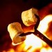 2 oz TOASTED MARSHMALLOW Candle Soap Fragrance Oil Premium Grade Candle Soap Making Supplies
