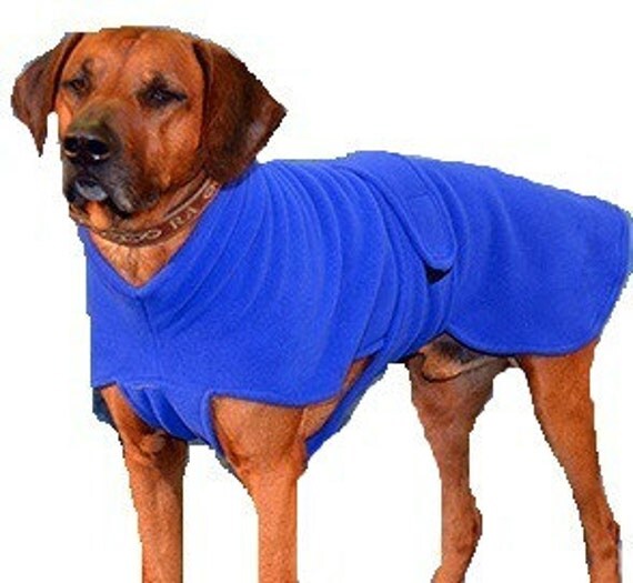 Custom Vizsla Dog Jacket made of Windpro Fleece for by madebyde