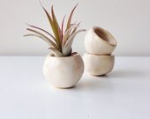 1 Mini Mini Planter "Milky White" for small plants Mini Pot MADE TO ORDER