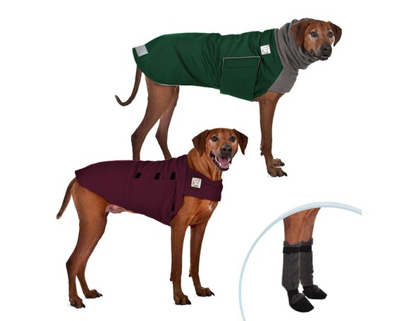rhodesian ridgeback jacket