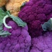 Cauliflower Organic Heirloom Purple of Sicily Seeds Rare