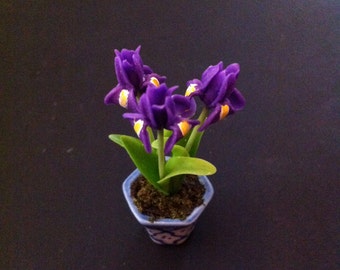 Irises, 2 Inch Miniature Potted Bouquet, Looks Like Live Flowers