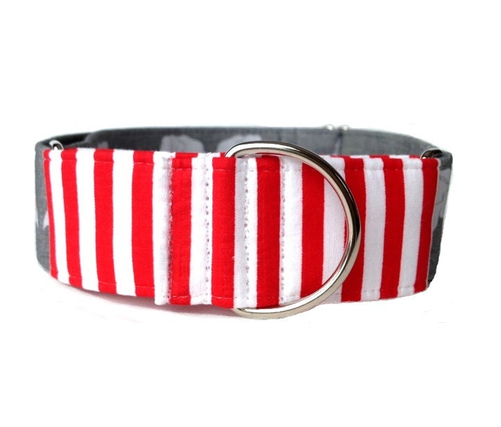 Umbrellas for Elephants Dog Collar Adjustable Martingale or