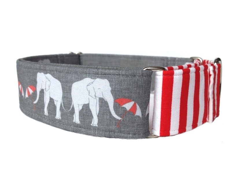 Umbrellas for Elephants Dog Collar Adjustable Martingale or