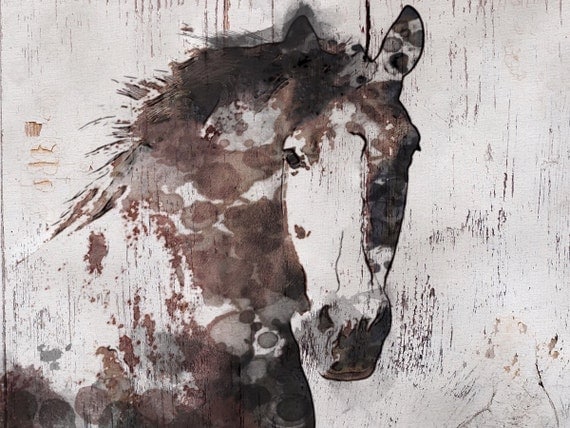 Horse. Large Brown Rustic Horse Canvas Art Print