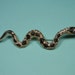 Gold and Black Snake Brooch, Rhinestones, Vintage Figural, Just Reduced