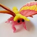 plush rosy maple moth