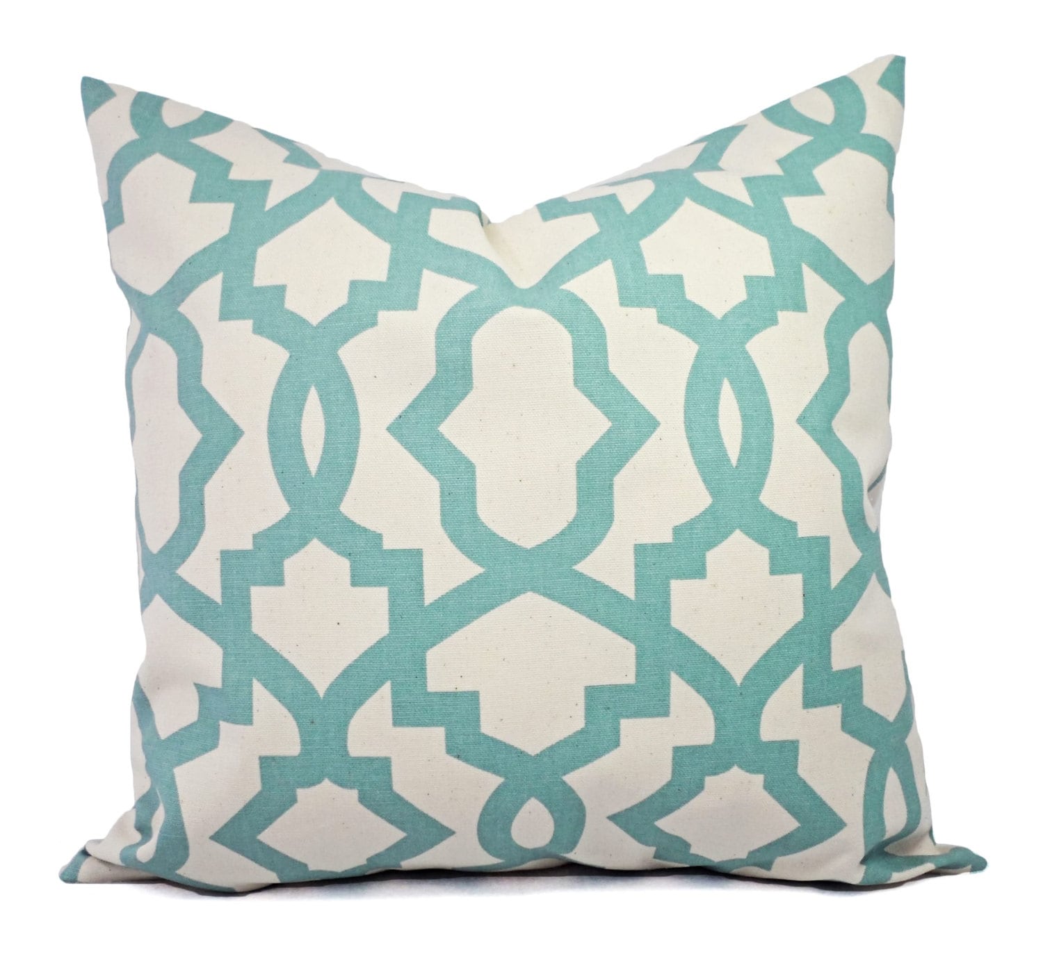 Two Pillow Covers Spa Blue Trellis Pillow Covers