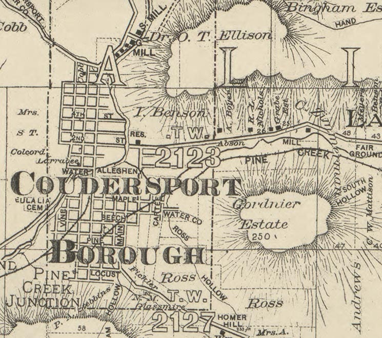 Potter County Pennsylvania 1893 Wall Map with by Oldmap