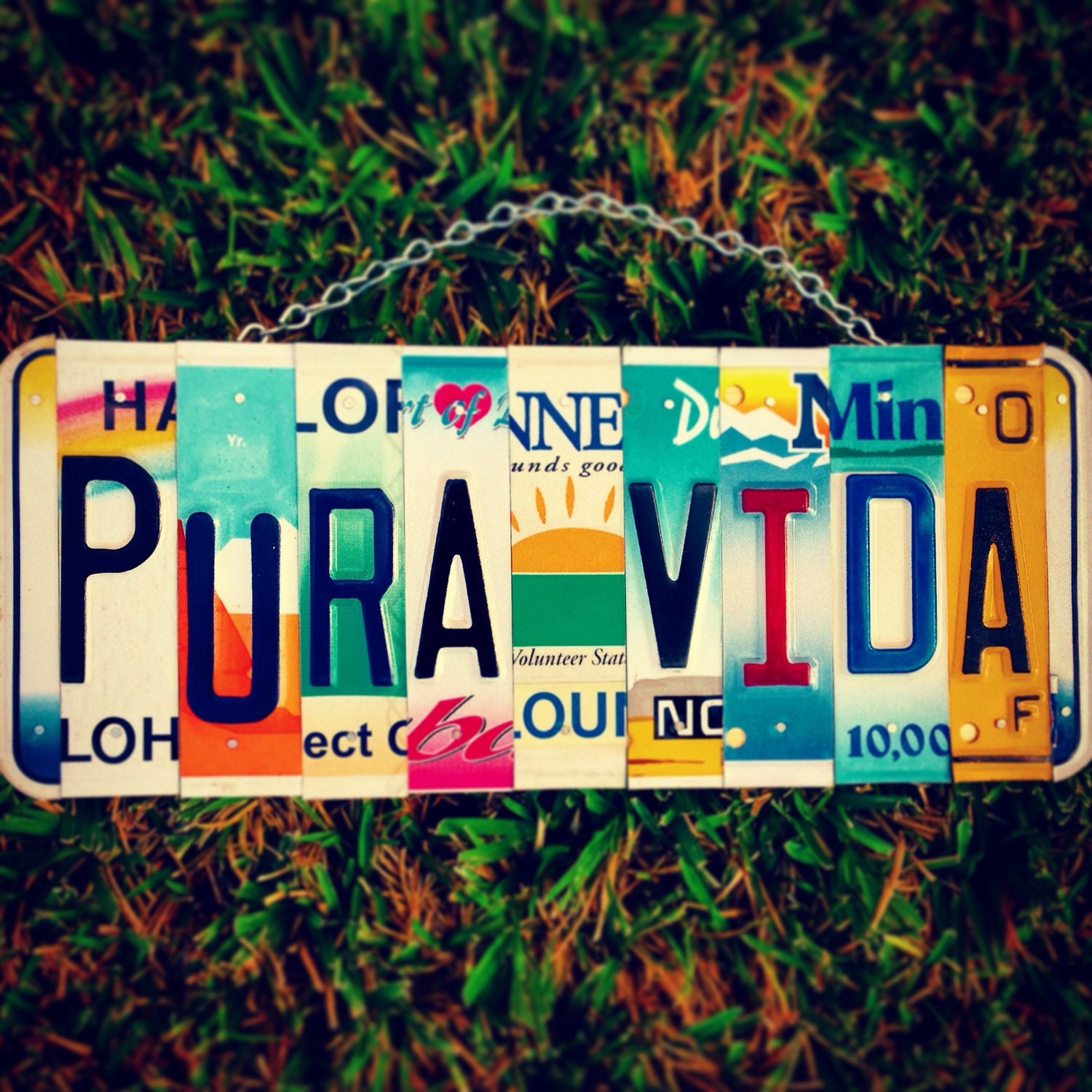 Pura vida. License plate. Sunshine. Hawaii. Costa rica . Sign.