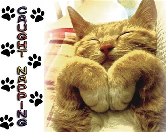 Caught Napping Ginger Cat Fridge Magnet 7cm by 4.5cm,