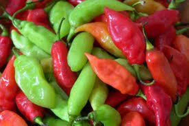 BIG SALE Caribbean Pimento Peppers Seeds A.K.A.Trinidad