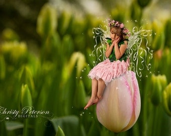 Digital Fairy Wings Backgrounds Overlays by FairyPhotography