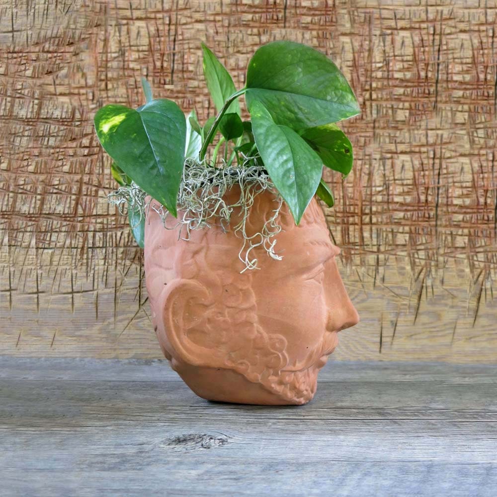 Vintage Terracotta Head Wall Planter Garden Decor Wall