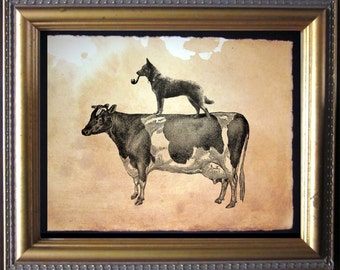 Australian Cattle Dog Riding Cow - Vintage Collage Art Print on Tea Stained Paper - Vintage Art Print - Vintage Paper