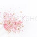 Styled Stock Photography | Pink & Gold Styled Confetti image | Party Images |