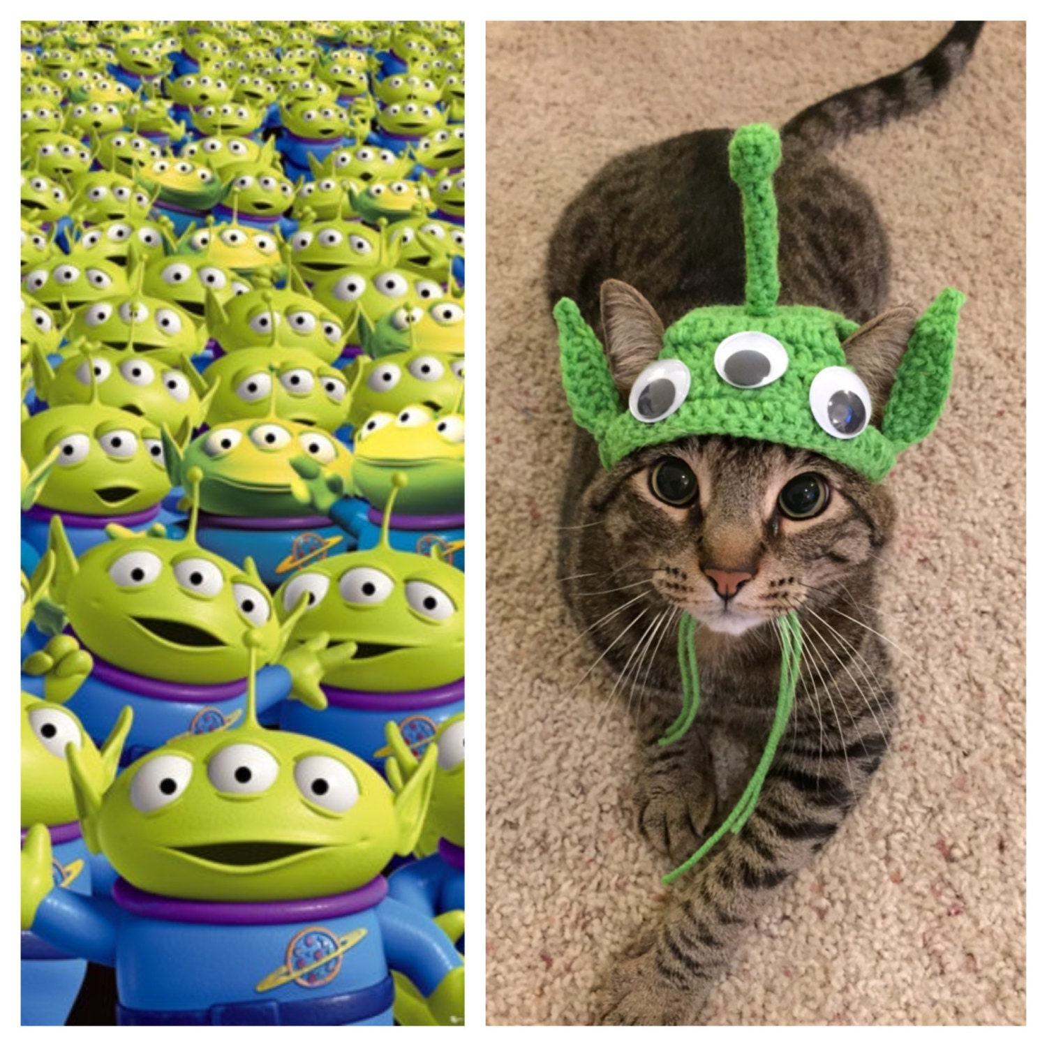 Cat Halloween Costume Cat Costumes Toy Story Costumes