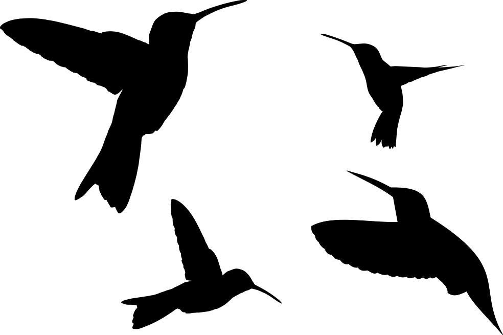 Download Humming Bird SVG Cutting Pattern For printing stencils