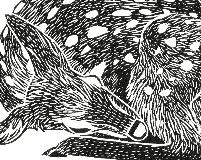 Deer Fawn Sleeping Linocut Original Illustration Block Print Black