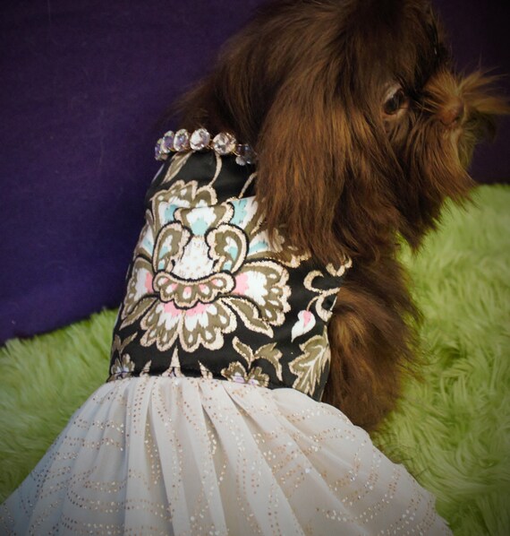 Gold Diamond Dog Dress by PPLNPawsCustomBling on Etsy