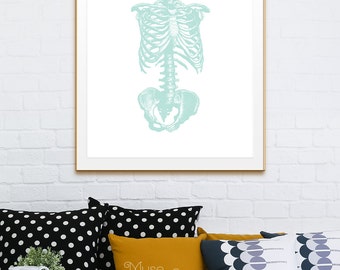 Cross Section of RibCage Anatomy Print, Antique Medical Art Print, Bones Print, Antique Rib Cage Print, Antique Hospital Chart Print